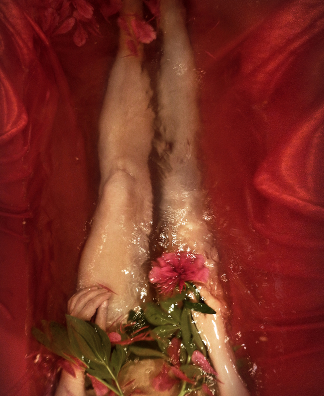 Renata Vogl peonies No2